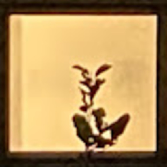 worm_world